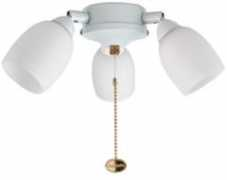fantasia-ceiling-fans.co.uk Amorie