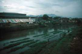 travels.davidmlawrence.com Ampenan