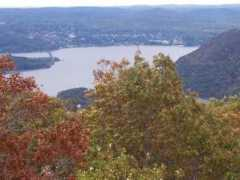 newbeetle.org Amyjane