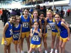 elginsharks.org Analei