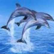 spaniards.es Anarosa