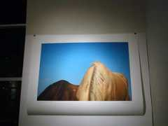 fotoseptiembreusa.com Anarte