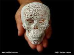 laughingsquid.com Anatomica