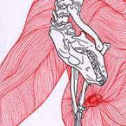 roykovalio.com Anatomie