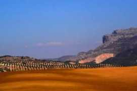 travelblog.it Andaluse