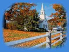 orizamartins.com Andorinhas