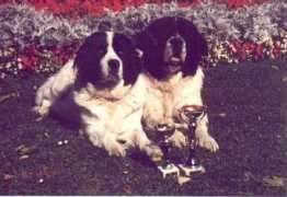 hund.ch Andrech