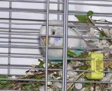 lukyaspol.websnadno.cz Anduli