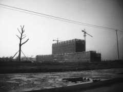 news.zjgonline.com.cn Aneia