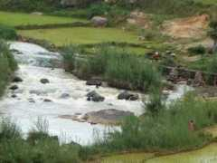 Angady