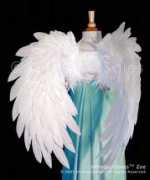 Angelwings