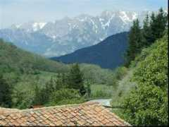 blakemorewalker.com Anieze