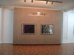 levallgallery.com Anigma