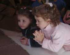 werner.com.ar Animaria