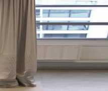 dailytonic.com Anique