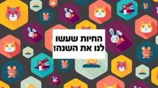 ynet.co.il Anitap