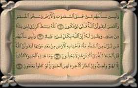 Ankaboot