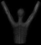 hoby.net Anthro