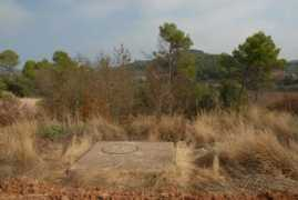 ichn.iec.cat Antius