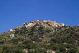 Antonino
