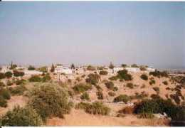 Antorkas