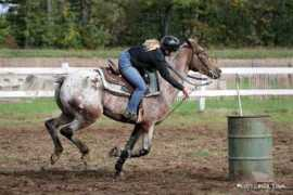 Apaloosa