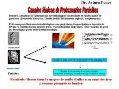 Aponce