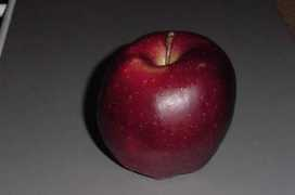 Appleapple