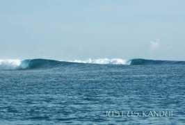 wavepark.com Aprilo