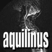 Aquilinus