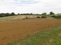 Arable