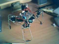 Arachno