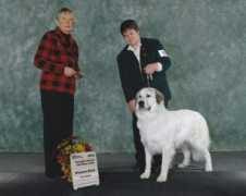 aragonpyrs.com Aragons