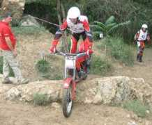 todotrial.com Arcarons