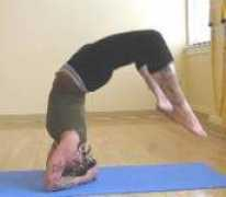 absolutelyashtanga.com Ardson