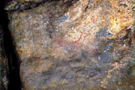 Arenasa