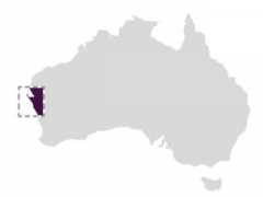 museum.wa.gov.au Ariaen