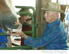 refugefarms.org Arient