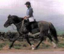Arilan