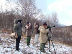 shidi.org Arkoo