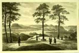 saxonia.com Arldt