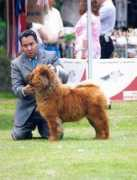 netchows.com Arlenne