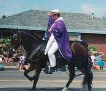 gaitedhorses.net Arnmark