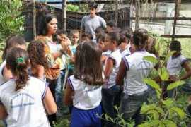 tribunadosertao.com.br Aroucha