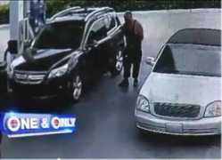 entornointeligente.com Arroj