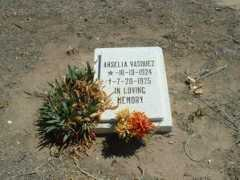 Arselia