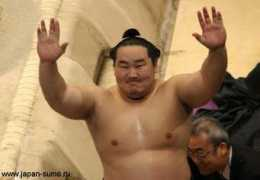 japan-sumo.ru Asav