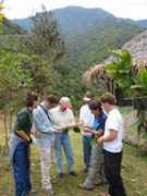 intagcloudforest.com Asequia