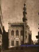 gallery.egyptsons.com Ashaky