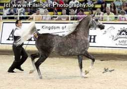 arabianflashlights.com Ashiraf